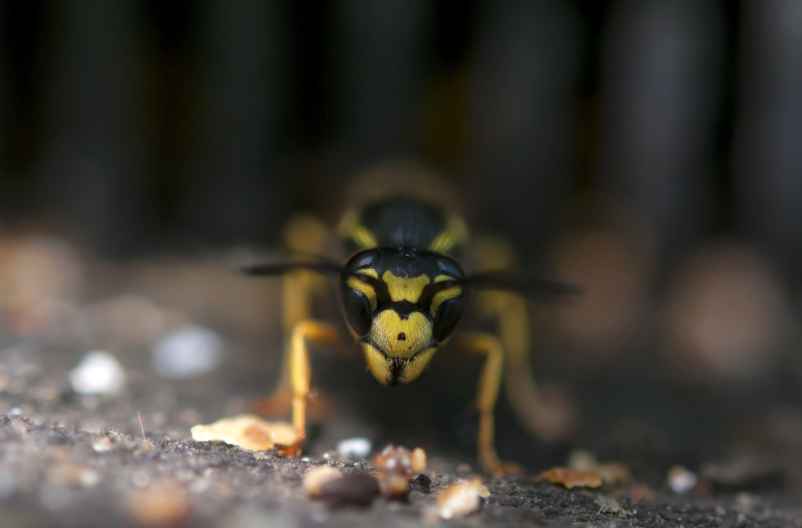 Faire appel à un professionnel pour les situations complexes-Hydrogaia Home