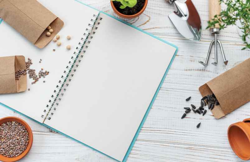 L’automne et l’hiver : pérenniser le potager-Hydrogaia Home